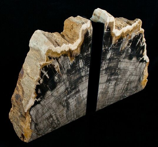 Large Sequoia Petrified Wood Bookends - Oregon #4491